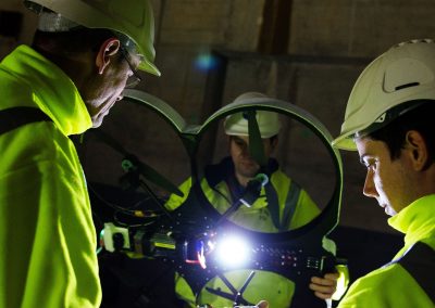 bluebear in fukushima